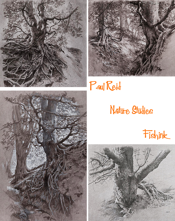 Fishinkblog 9642 Paul Reid 2