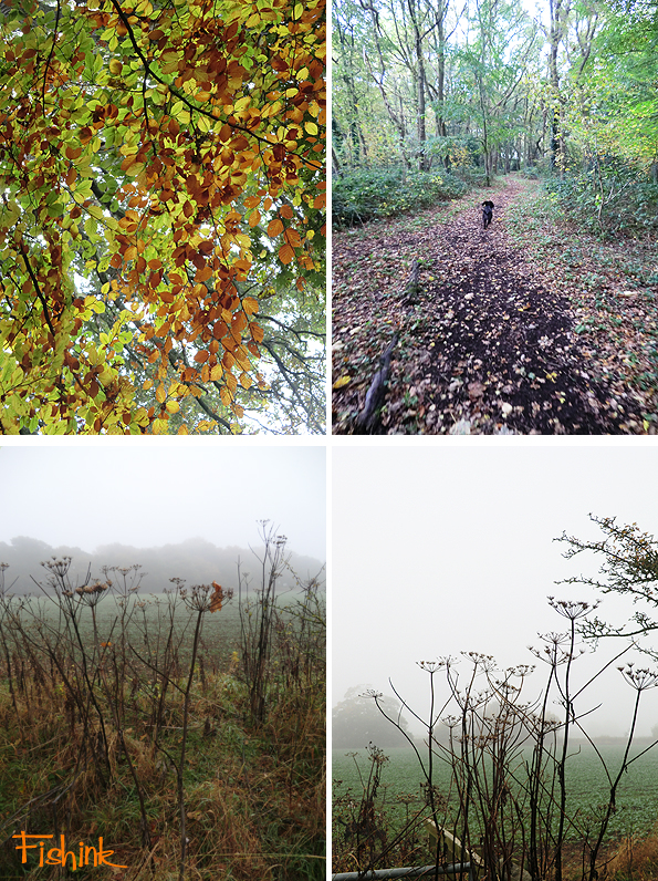 Fishinkblog 9672 Fishink Travels 2