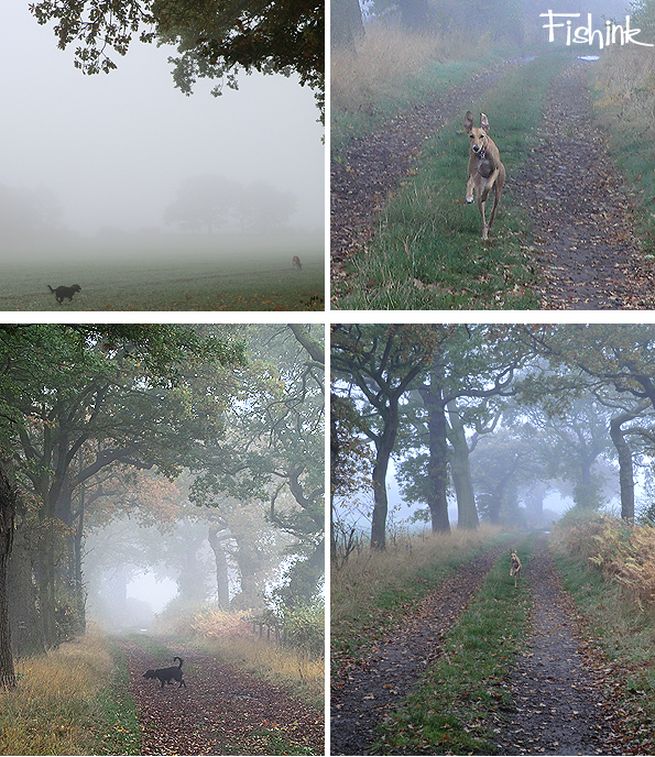 Fishinkblog 9673 Fishink Travels 3