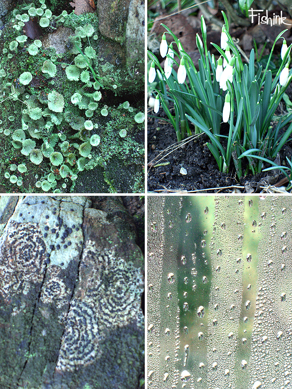 Fishinkblog 9876 Fishink Photos 1