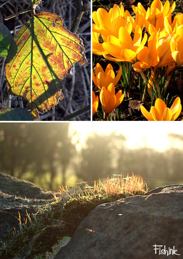 Fishinkblog 9878 Fishink Photos 3