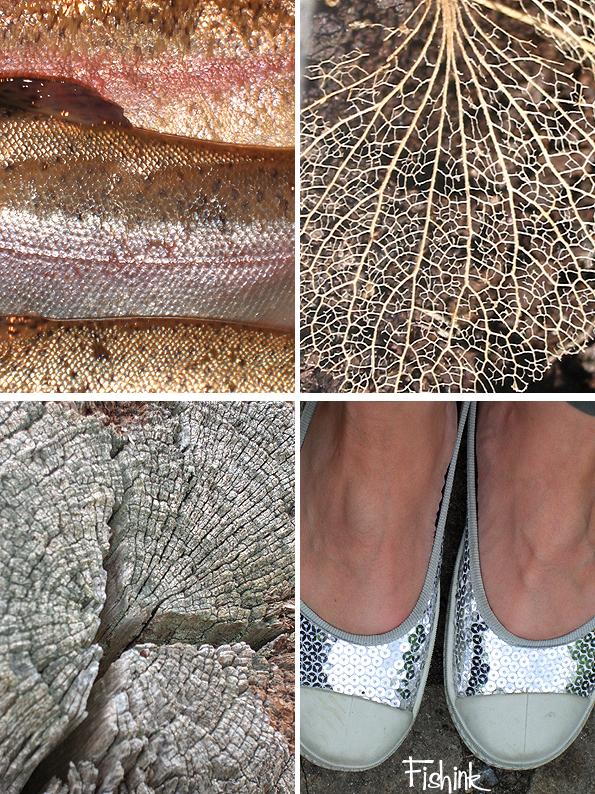 Fishinkblog 9879 Fishink Photos 4