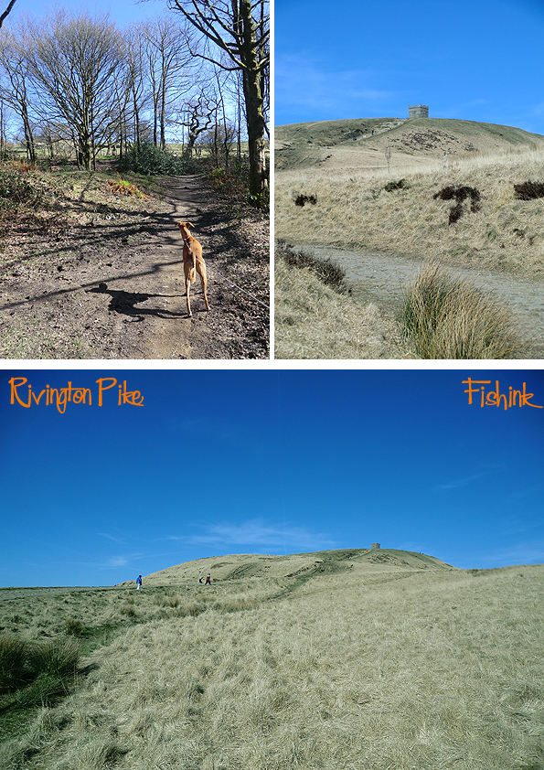 Fishinkblog 9924 Rivington Pike 1