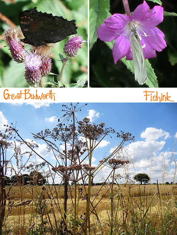 Fishinkblog 10042 Great Budworth 2