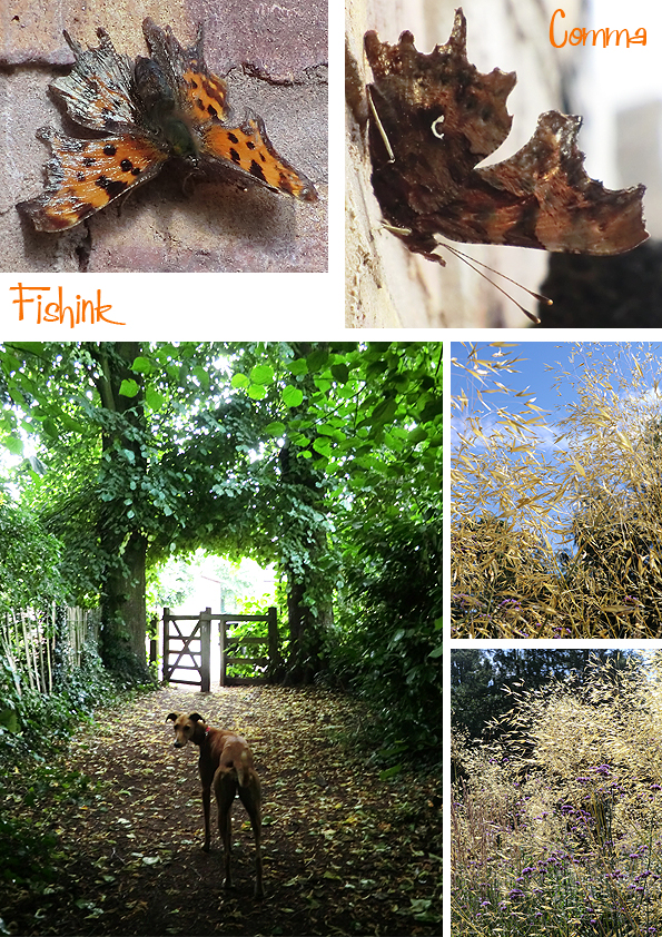 Fishinkblog 10044 Great Budworth 5