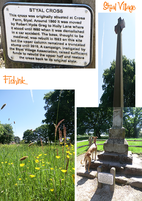 Fishinkblog 10046 Styal 2