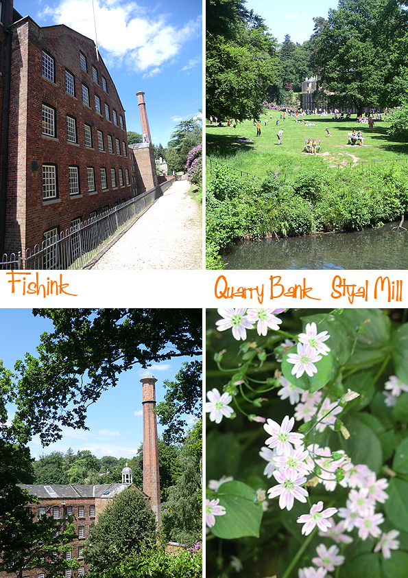 Fishinkblog 10047 Styal 3