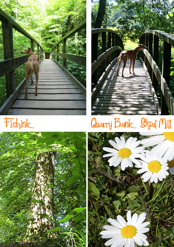 Fishinkblog 10050 Styal 6