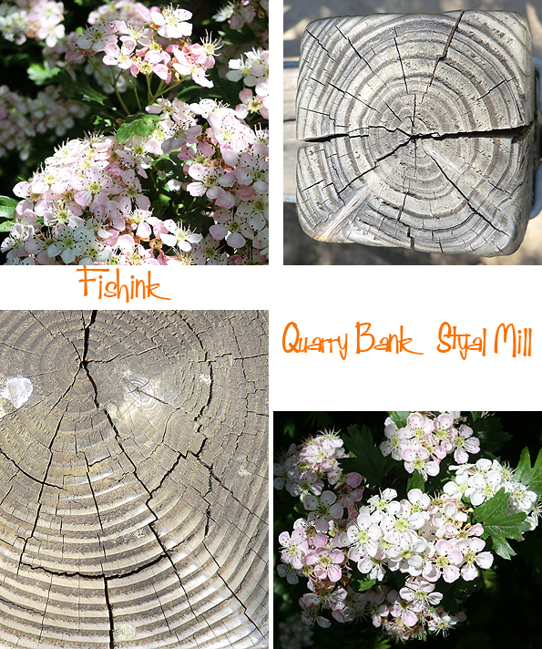 Fishinkblog 10051 Styal 7