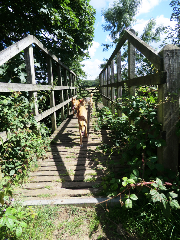 Fishinkblog 10053 Styal 9a