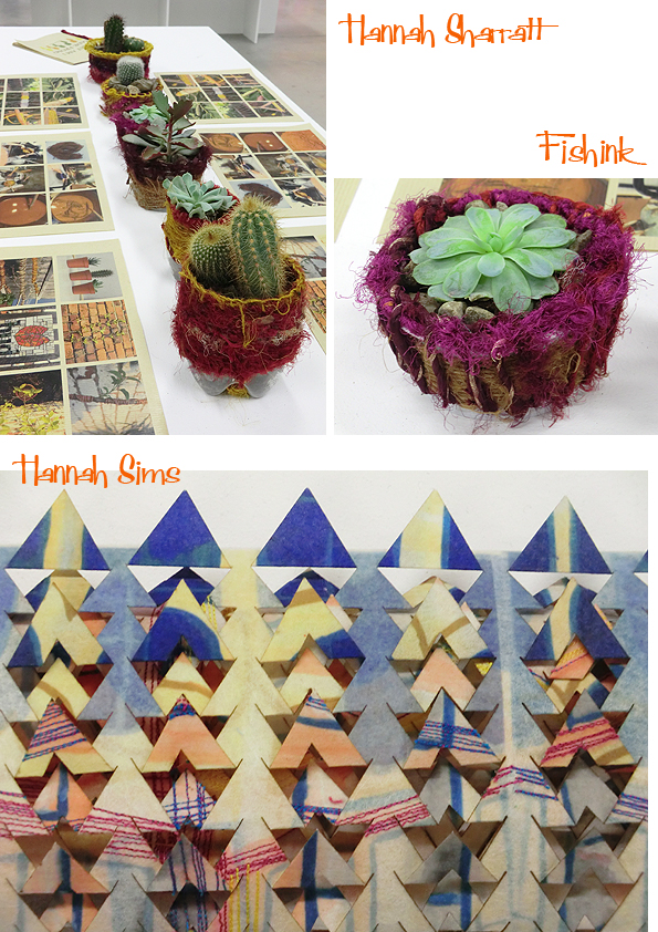 Fishinkblog 10075 MMU Degree 2016 8