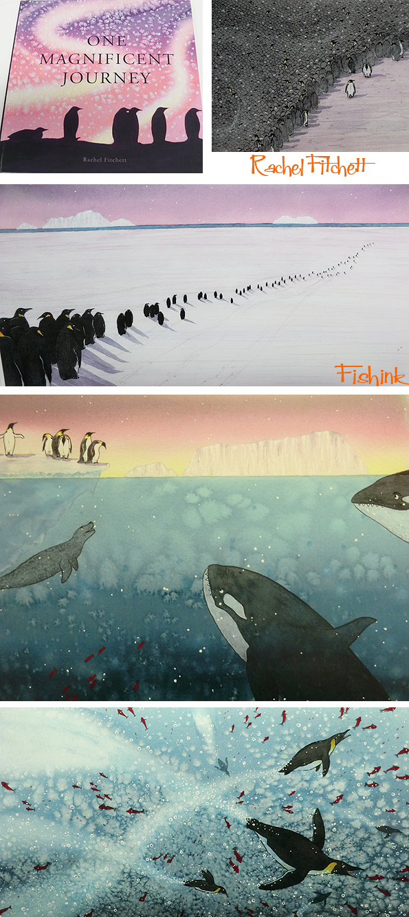 Fishinkblog 10093 MMU Degree 2016 26