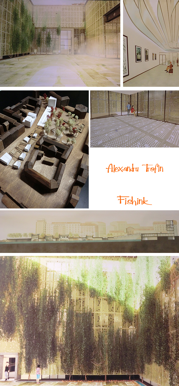 Fishinkblog 10095 MMU Degree 2016 28