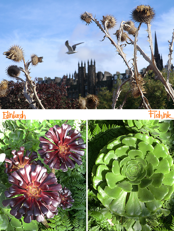 fishinkblog-10215-edinburgh-10
