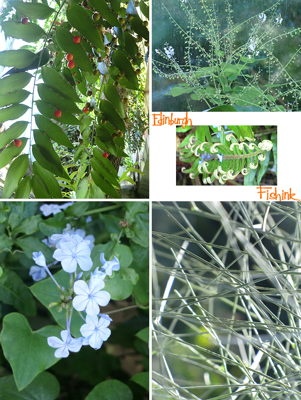 fishinkblog-10221-edinburgh-16