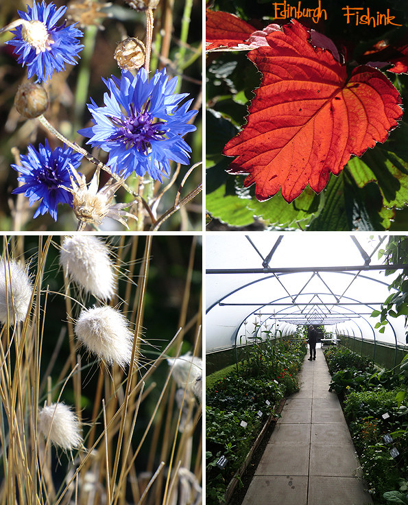 fishinkblog-10227-edinburgh-22