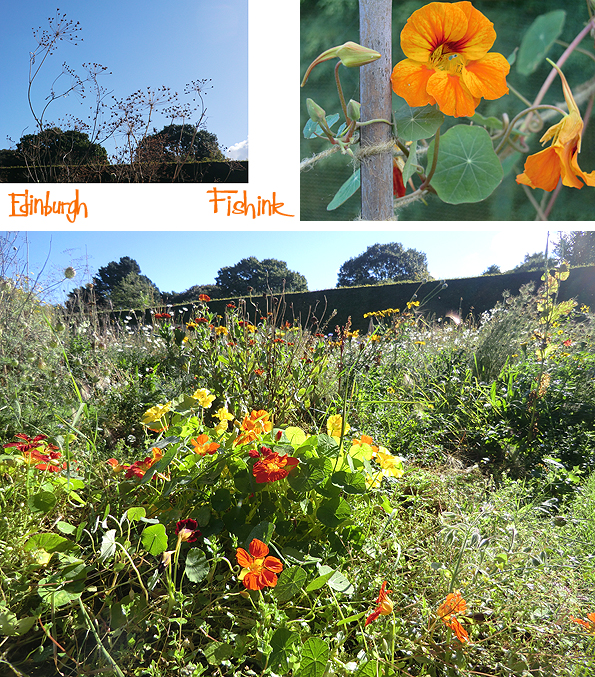 fishinkblog-10228-edinburgh-23