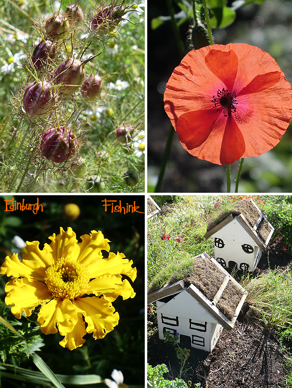 fishinkblog-10229-edinburgh-24