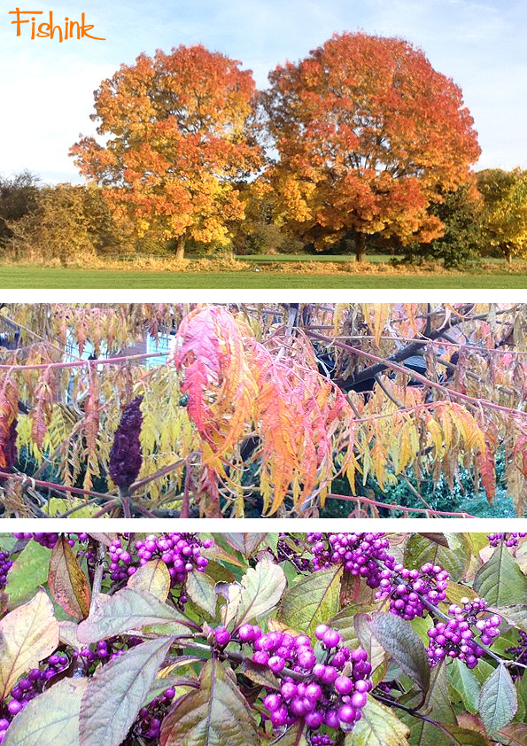 fishinkblog-10266-autumn-1