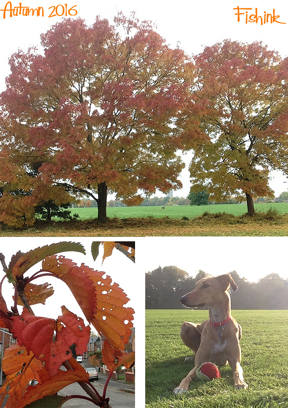 fishinkblog-10268-autumn-3