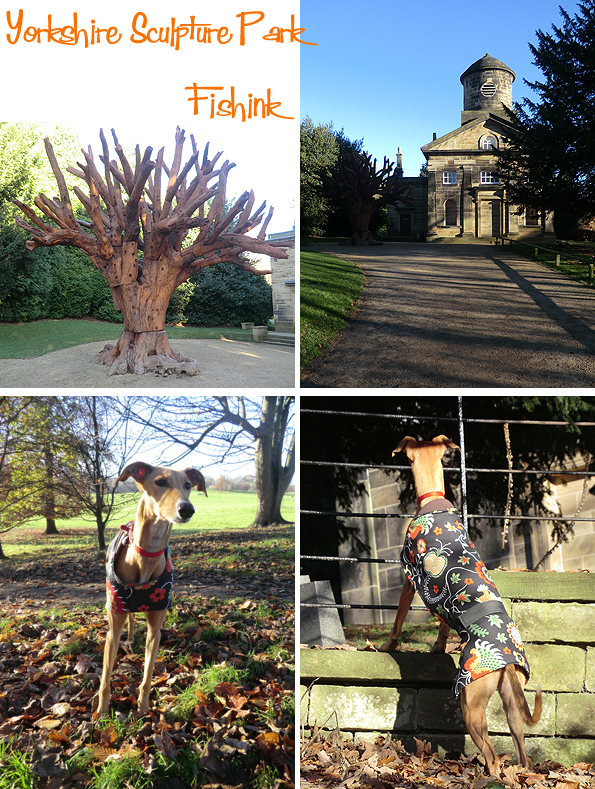 fishinkblog-10304-ysp-17