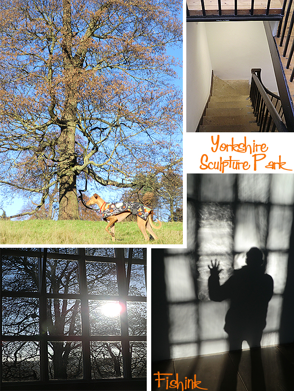 fishinkblog-10305-ysp-18