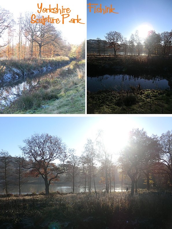 fishinkblog-10306-ysp-19