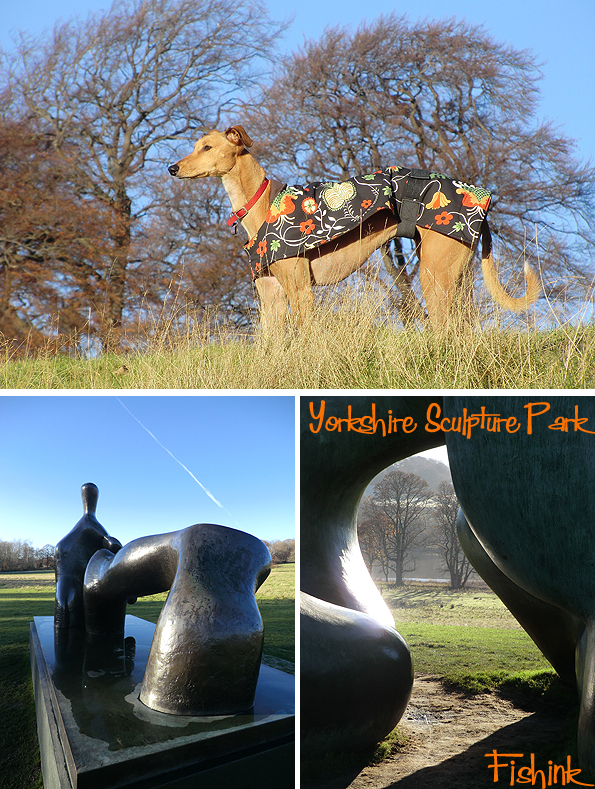 fishinkblog-10307-ysp-20