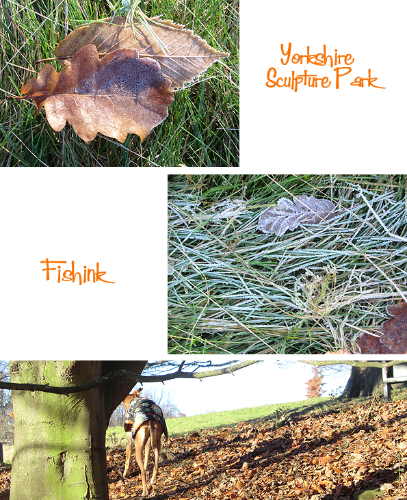 fishinkblog-10309-ysp-22