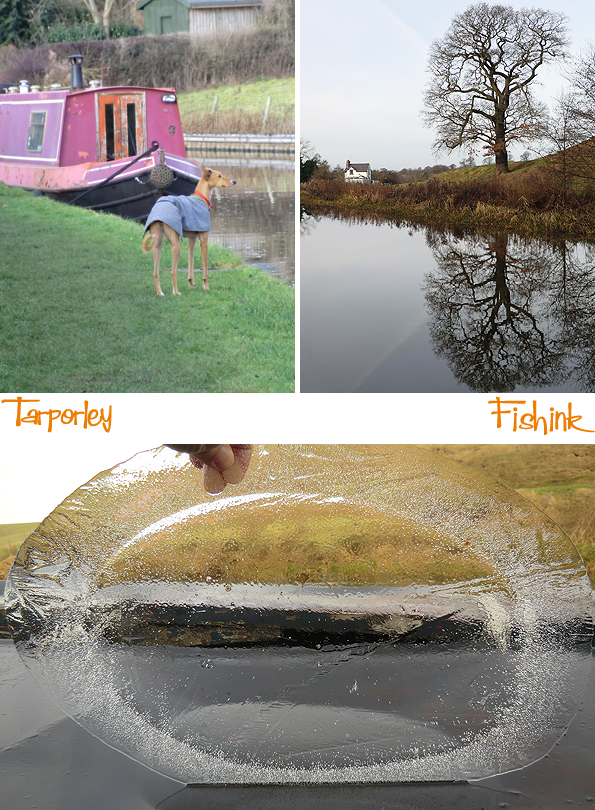 fishinkblog-10336-christmas-2016