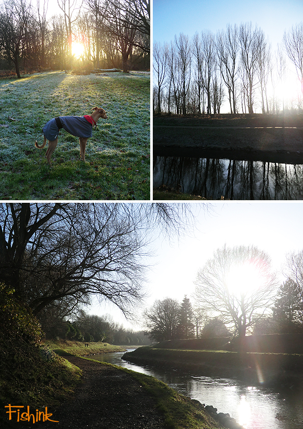 fishinkblog-10338-christmas-2016